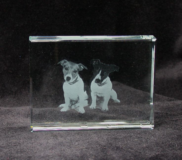 2Hundeglas